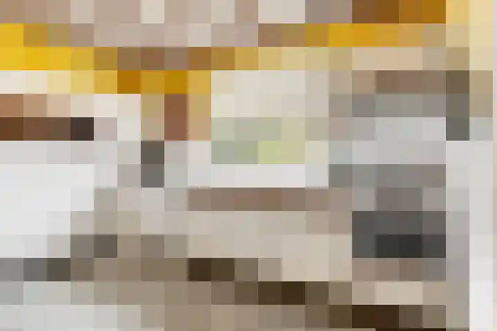Dippert 12 Bavel thumbnail 11