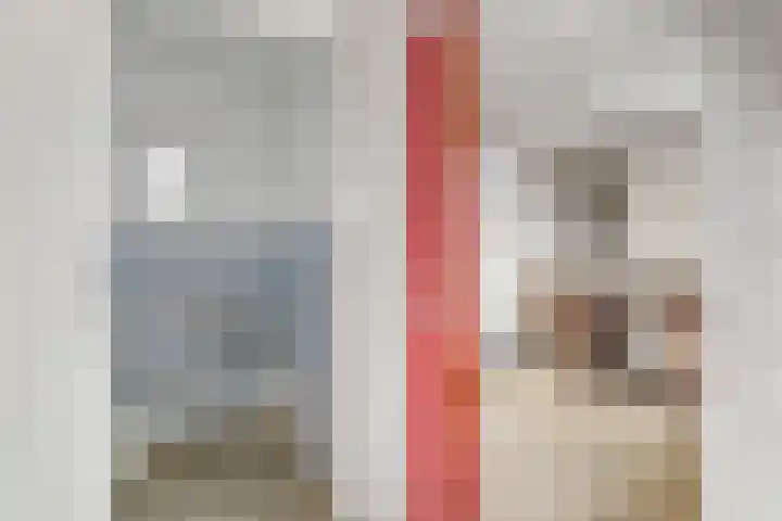 Dippert 12 Bavel thumbnail 12