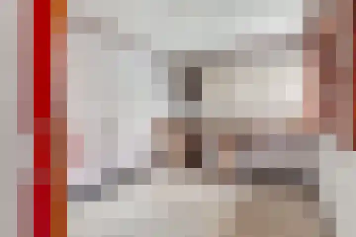 Dippert 12 Bavel thumbnail 13