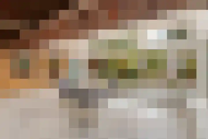 Dippert 12 Bavel thumbnail 14