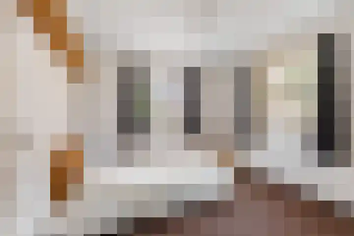 Dippert 12 Bavel thumbnail 17
