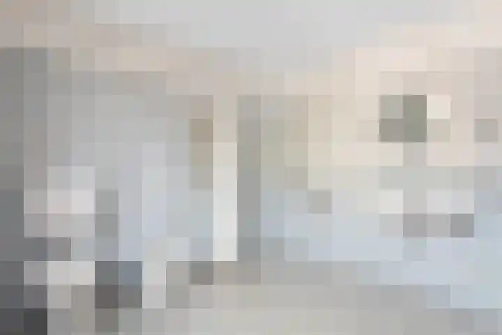 Dippert 12 Bavel thumbnail 19