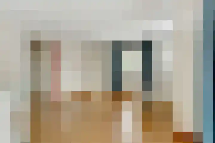 Dippert 12 Bavel thumbnail 20