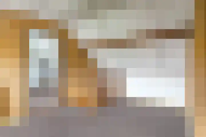 Dippert 12 Bavel thumbnail 21