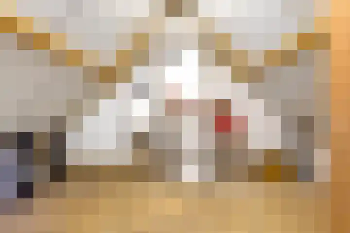 Dippert 12 Bavel thumbnail 22