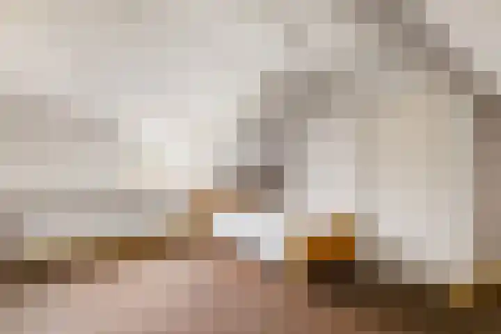 Dippert 12 Bavel thumbnail 23