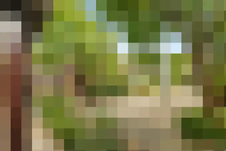 Dippert 12 Bavel thumbnail 24