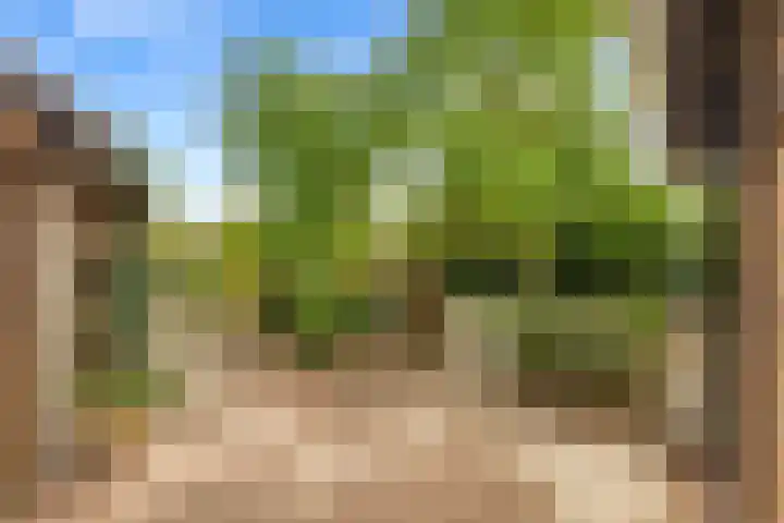 Dippert 12 Bavel thumbnail 25