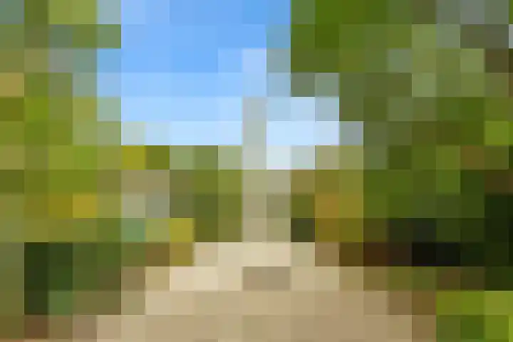 Dippert 12 Bavel thumbnail 26