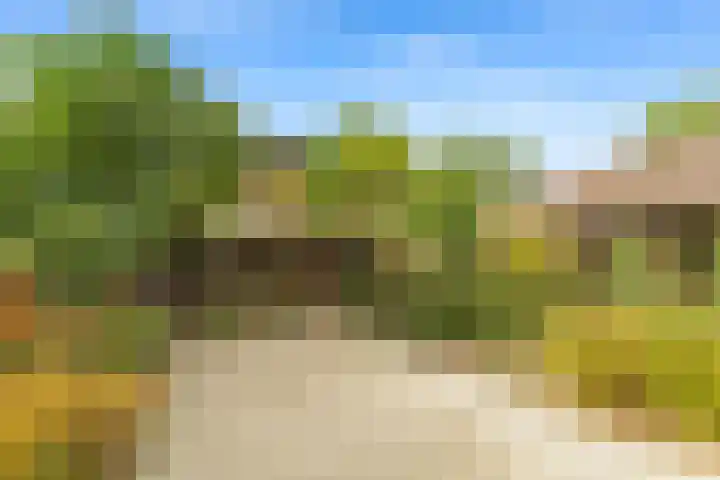 Dippert 12 Bavel thumbnail 27