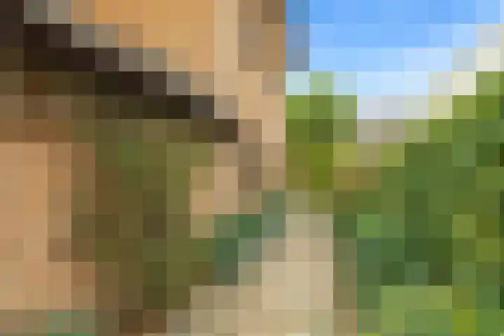 Dippert 12 Bavel thumbnail 28