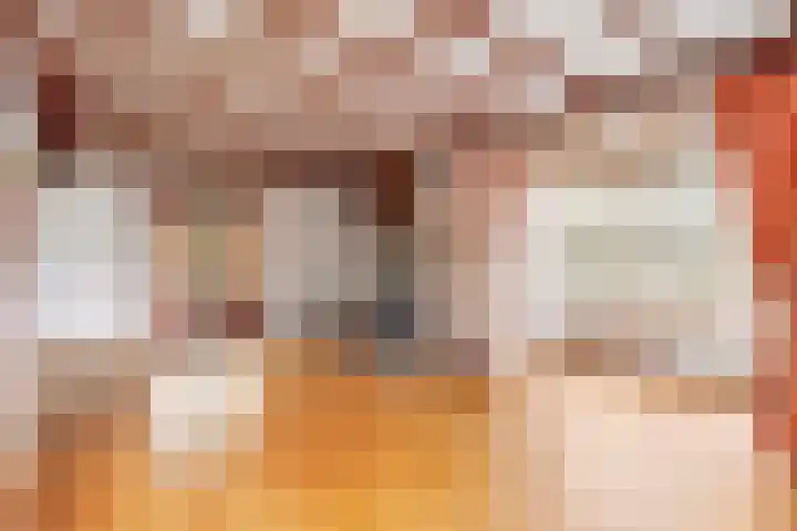 Dippert 12 Bavel thumbnail 5