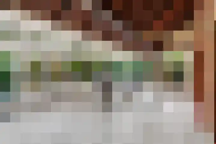 Dippert 12 Bavel thumbnail 8