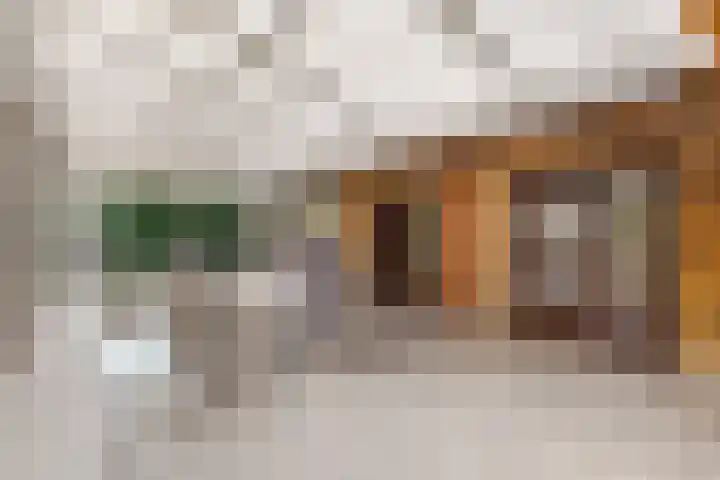 Dippert 12 Bavel thumbnail 9