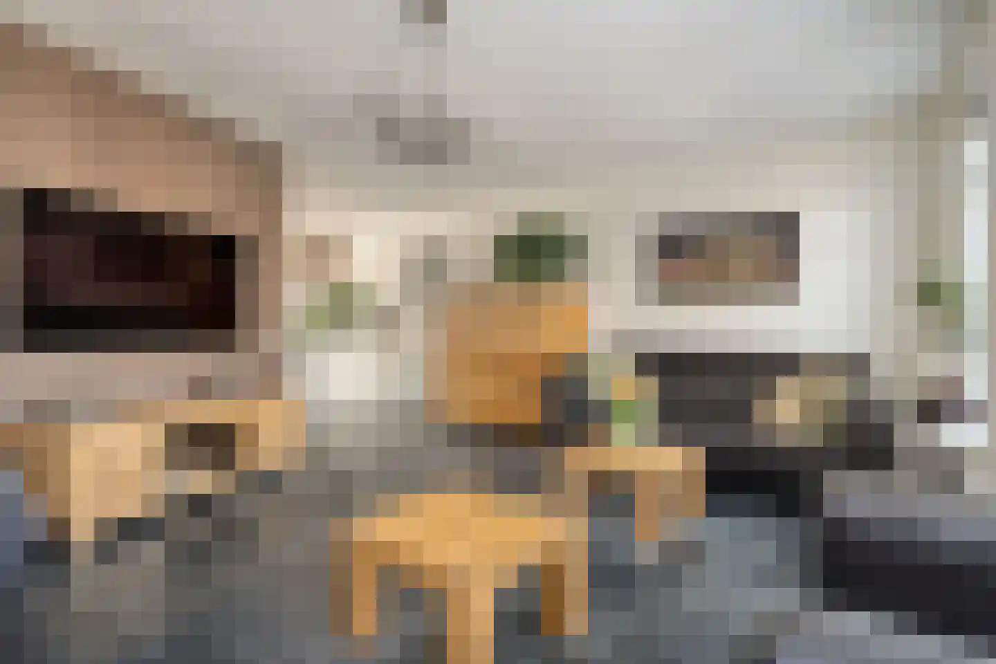 Dirc van Herxenweg 3 Zwolle thumbnail 16