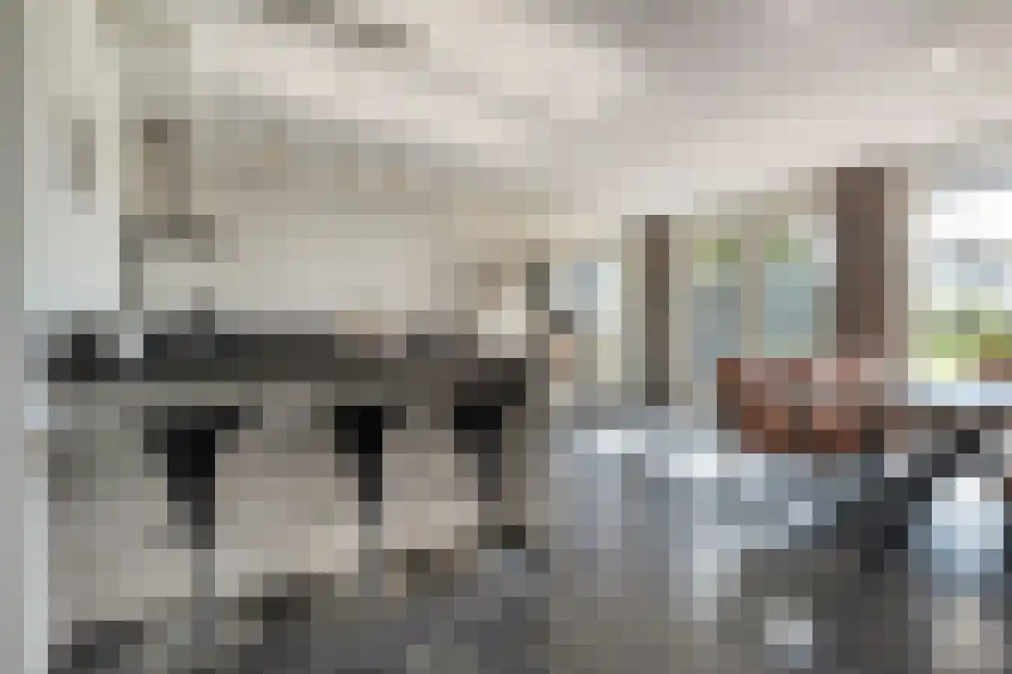 Dirc van Herxenweg 3 Zwolle thumbnail 25