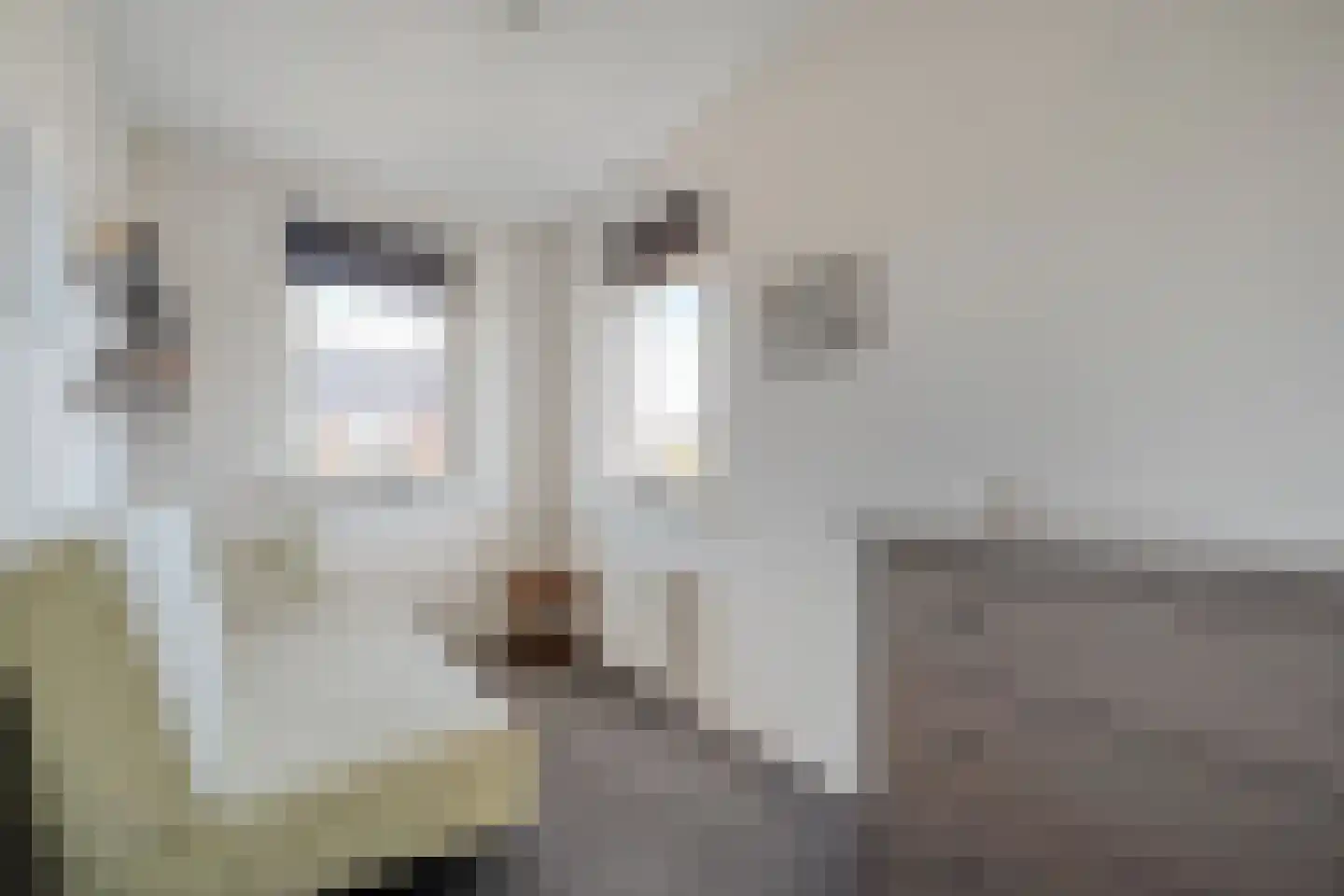 Dirc van Herxenweg 3 Zwolle thumbnail 32