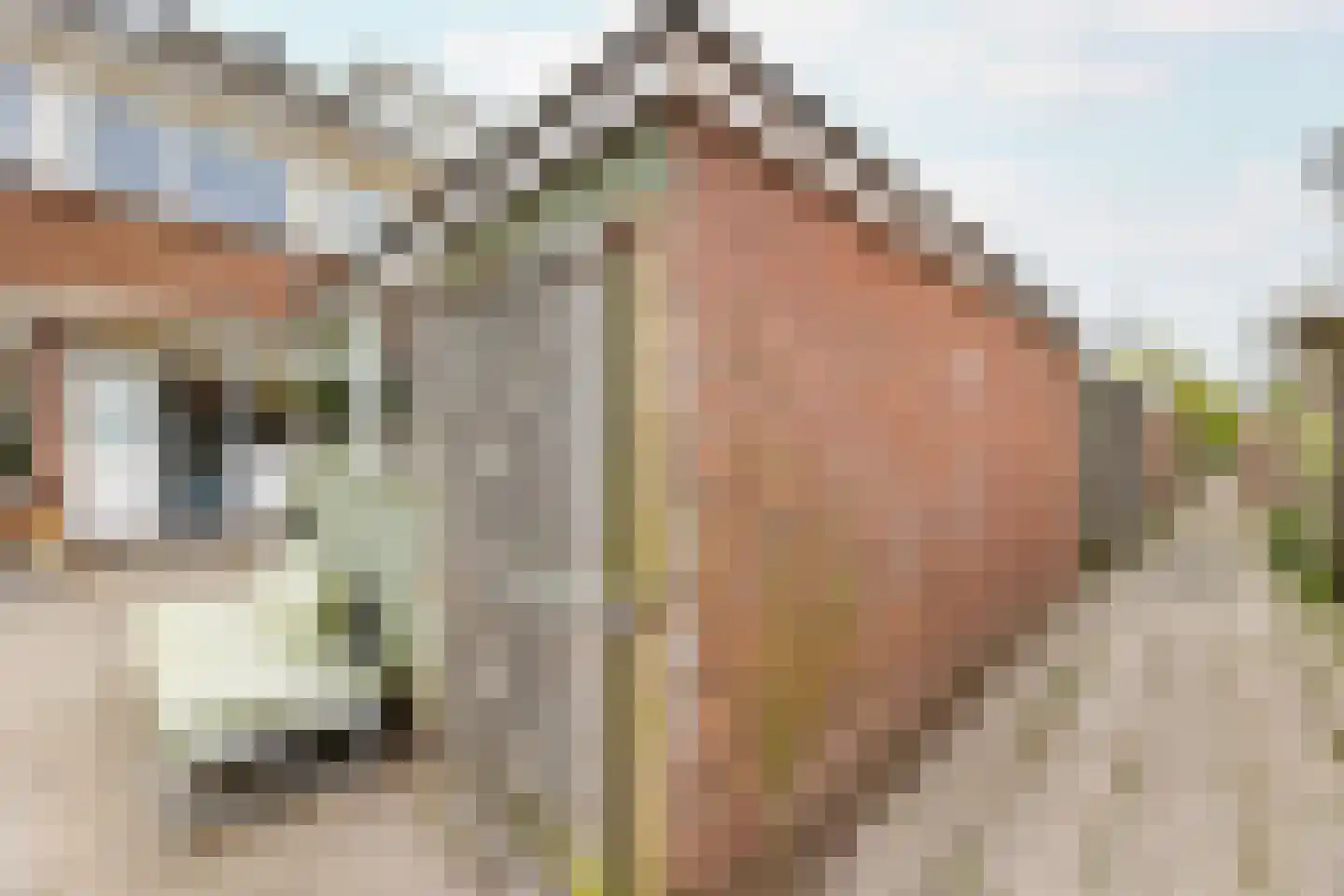 Dirck Arentszstraat 7 Middelburg thumbnail 20