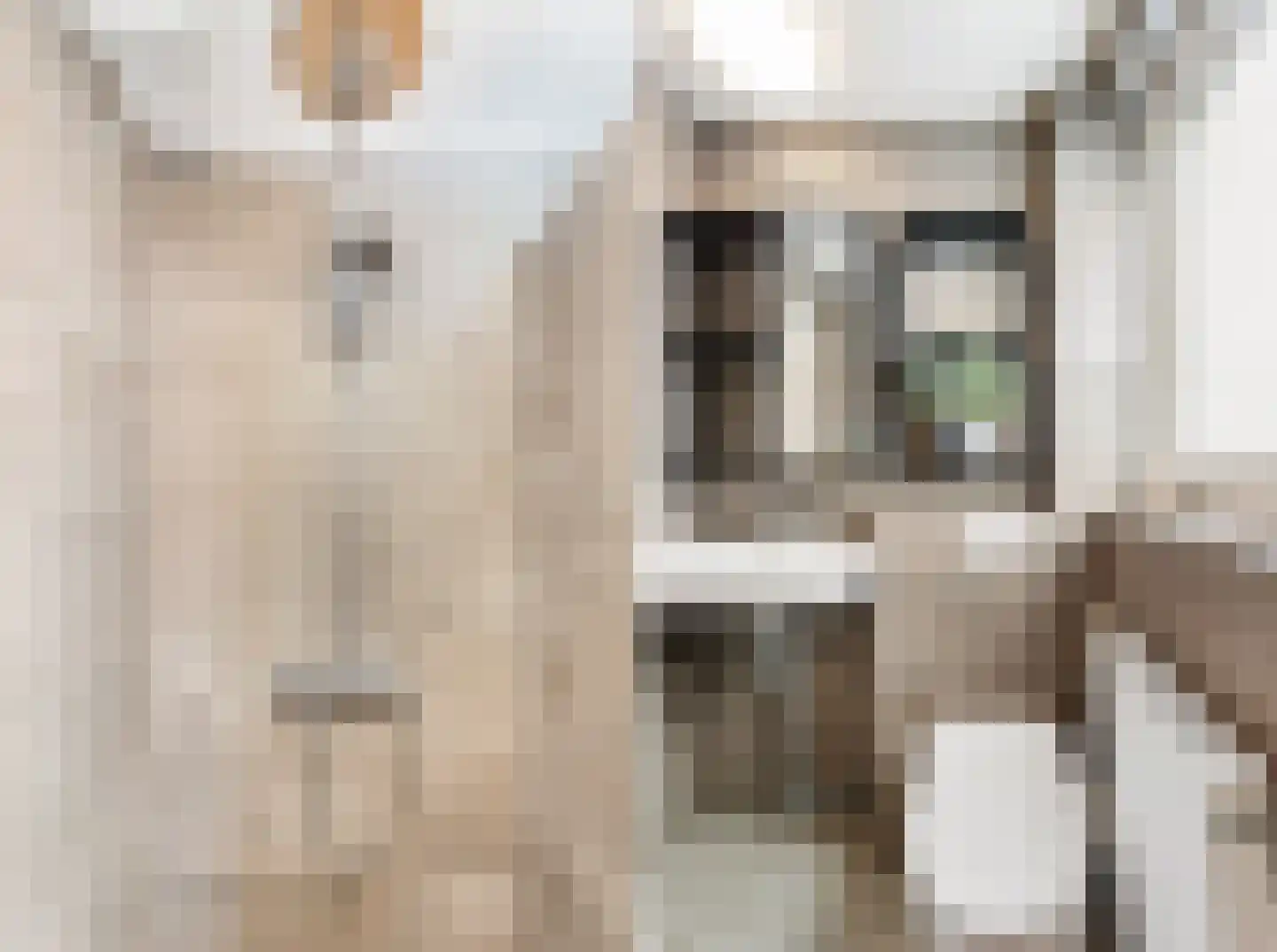 Dirck Arentszstraat 7 Middelburg thumbnail 29