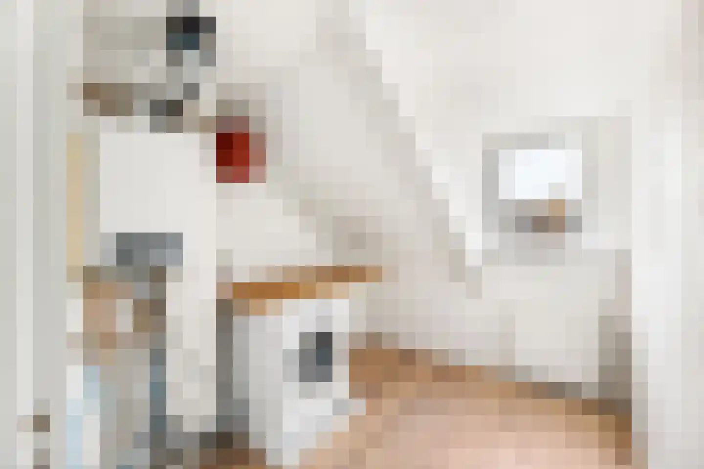 Dirck Arentszstraat 7 Middelburg thumbnail 38
