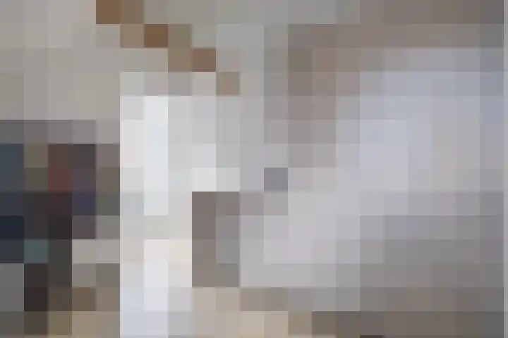 Dirck Raphaëlsz Camphuysenstraat 29 Dokkum thumbnail 21