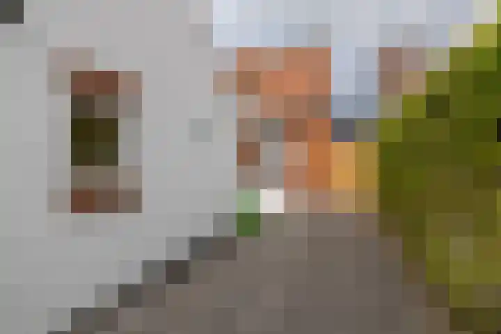 Dirck Raphaëlsz Camphuysenstraat 29 Dokkum thumbnail 23