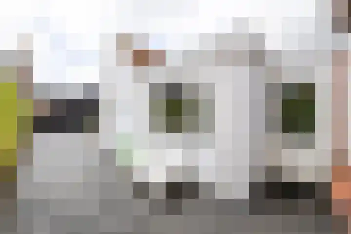 Dirck Raphaëlsz Camphuysenstraat 29 Dokkum thumbnail 24