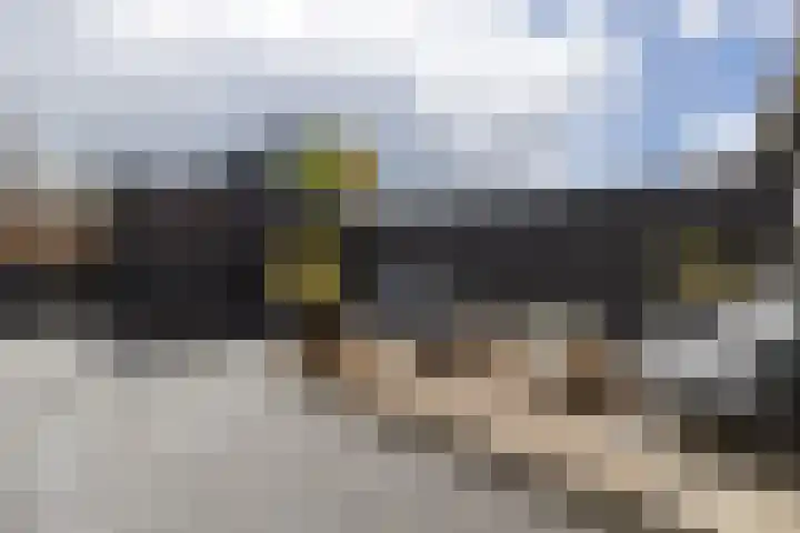 Dirck Raphaëlsz Camphuysenstraat 29 Dokkum thumbnail 25