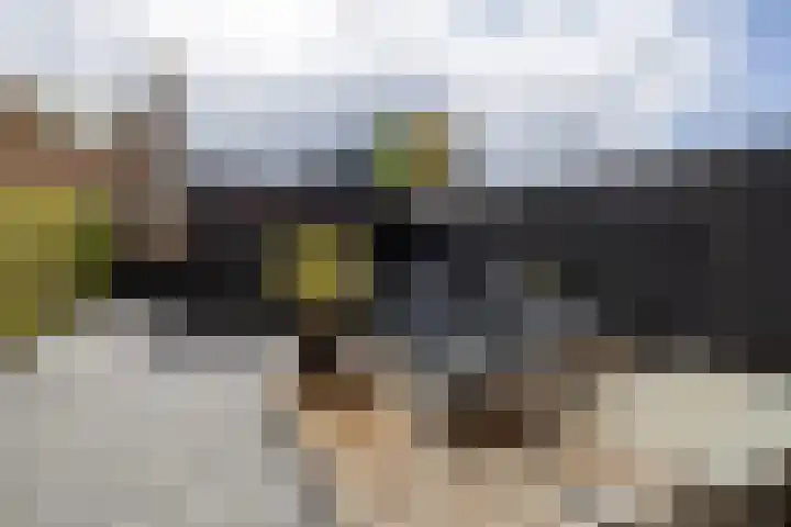 Dirck Raphaëlsz Camphuysenstraat 29 Dokkum thumbnail 27