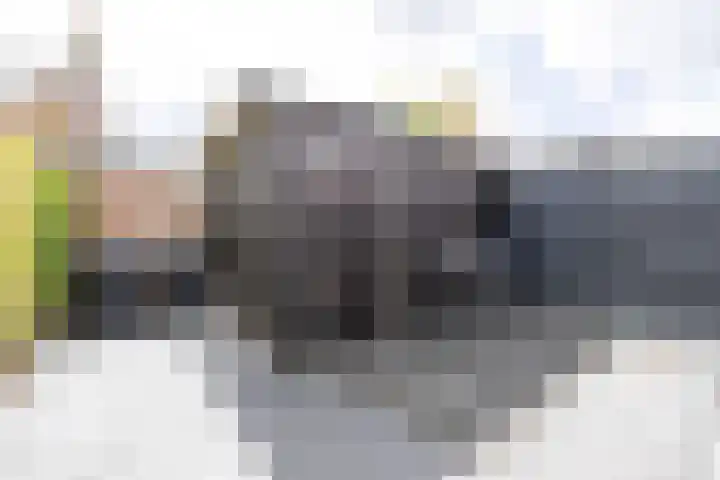 Dirck Raphaëlsz Camphuysenstraat 29 Dokkum thumbnail 29