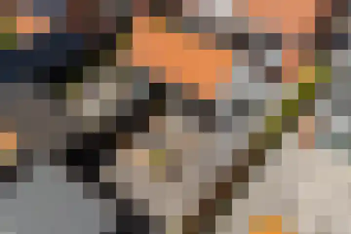 Dirck Raphaëlsz Camphuysenstraat 29 Dokkum thumbnail 30