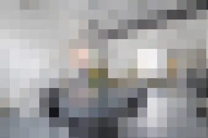 Dirck Raphaëlsz Camphuysenstraat 29 Dokkum thumbnail 7