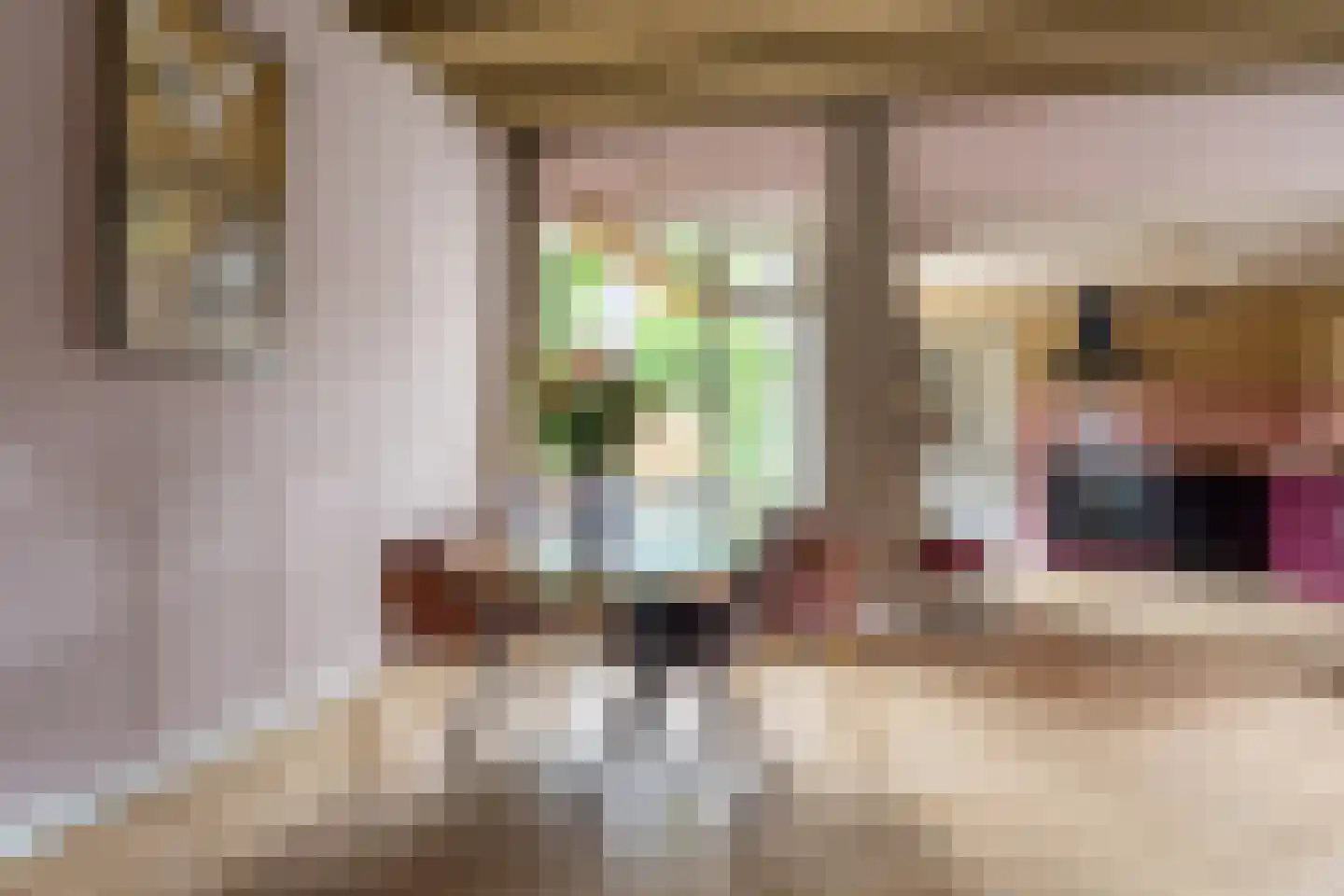Dirck Raphaëlsz Camphuysenstraat 37 Dokkum thumbnail 13