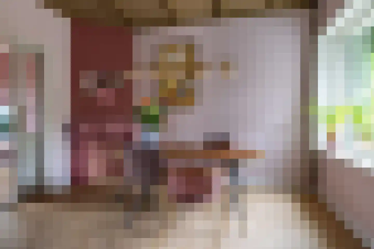 Dirck Raphaëlsz Camphuysenstraat 37 Dokkum thumbnail 14