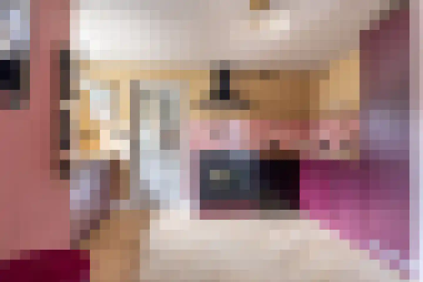 Dirck Raphaëlsz Camphuysenstraat 37 Dokkum thumbnail 16