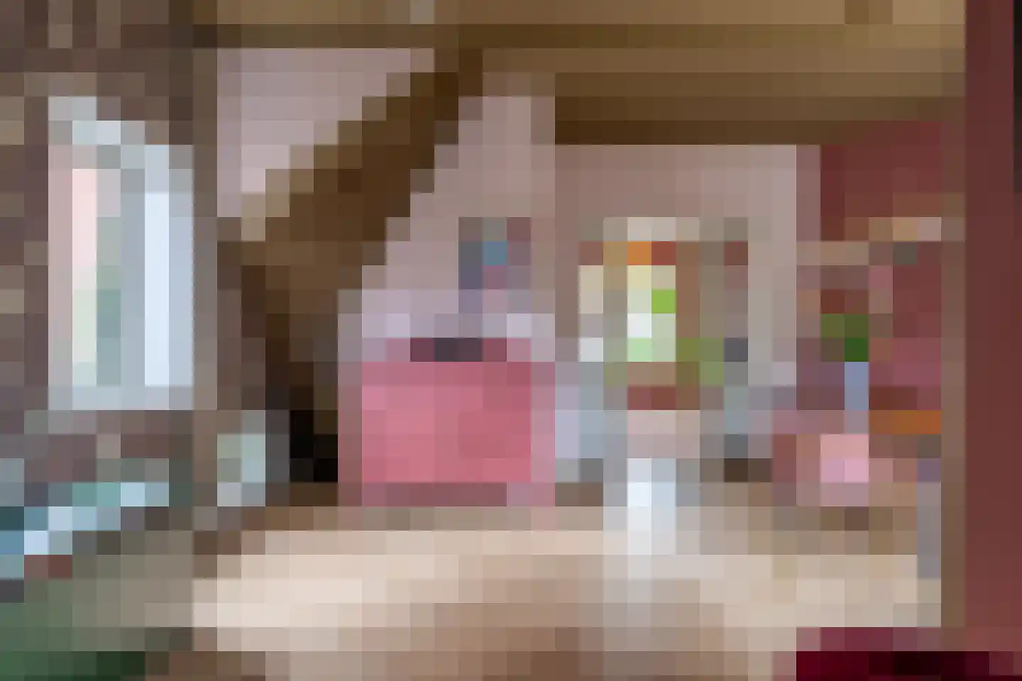 Dirck Raphaëlsz Camphuysenstraat 37 Dokkum thumbnail 19