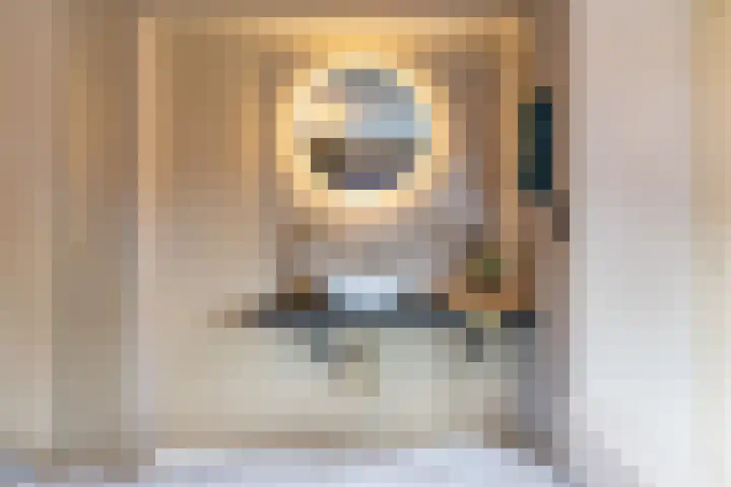 Dirck Raphaëlsz Camphuysenstraat 37 Dokkum thumbnail 28