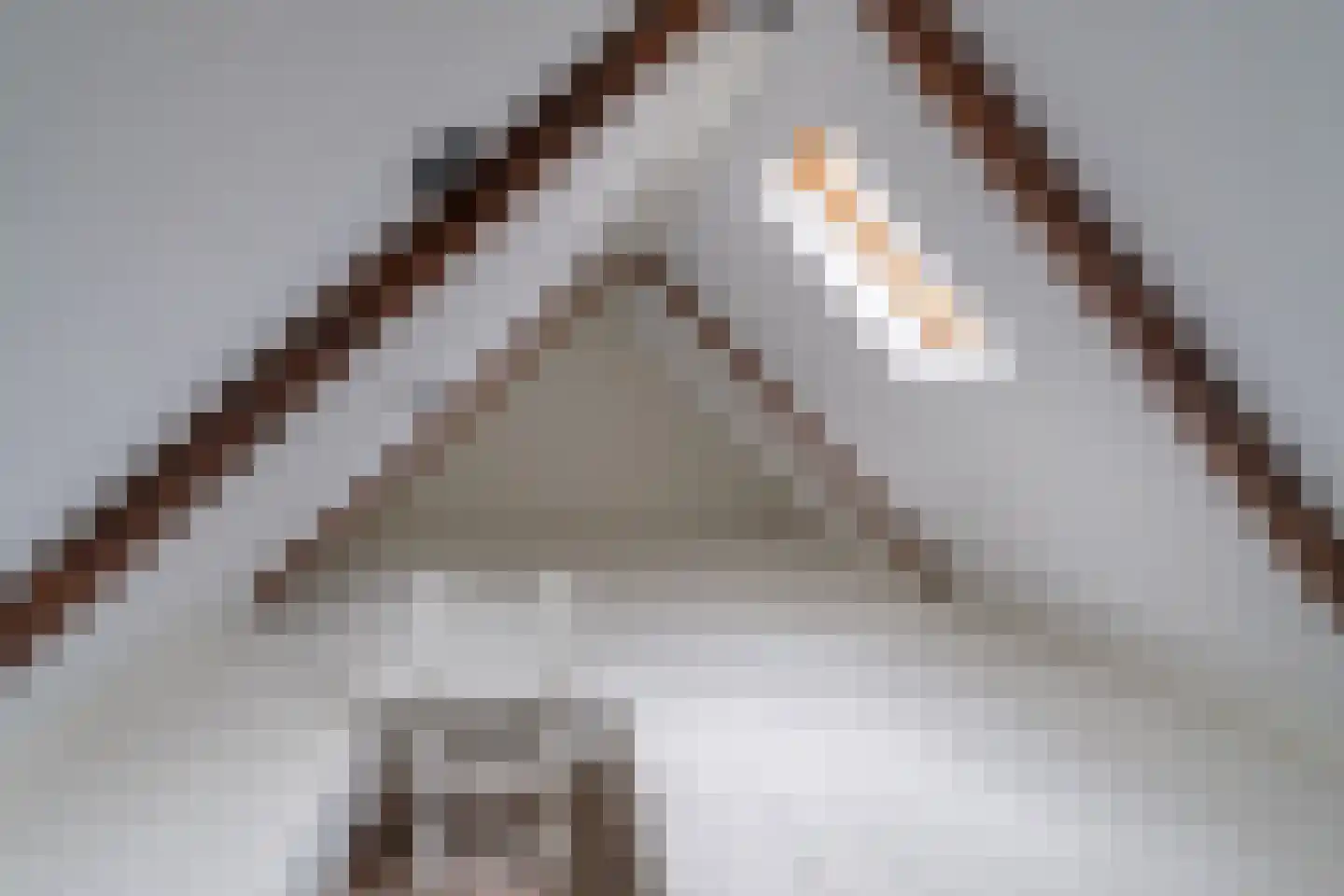 Dirck Raphaëlsz Camphuysenstraat 37 Dokkum thumbnail 33