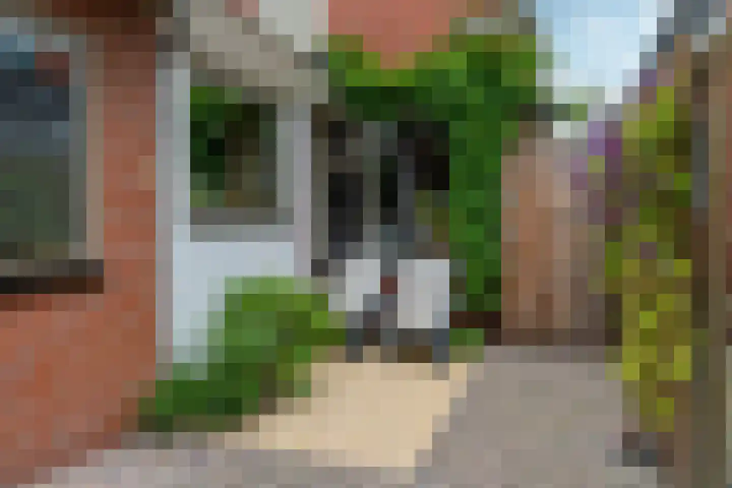 Dirck Raphaëlsz Camphuysenstraat 37 Dokkum thumbnail 37