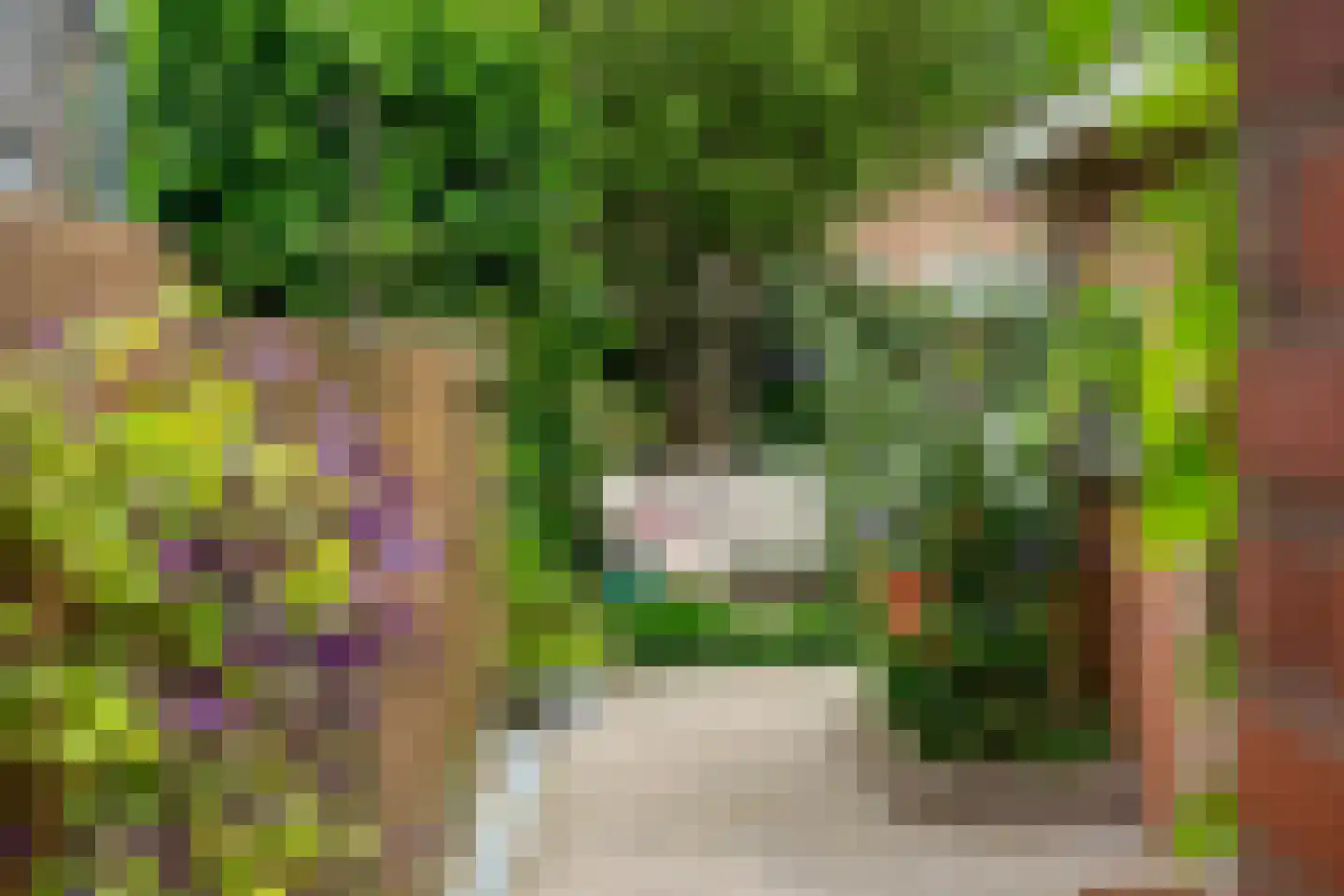 Dirck Raphaëlsz Camphuysenstraat 37 Dokkum thumbnail 38