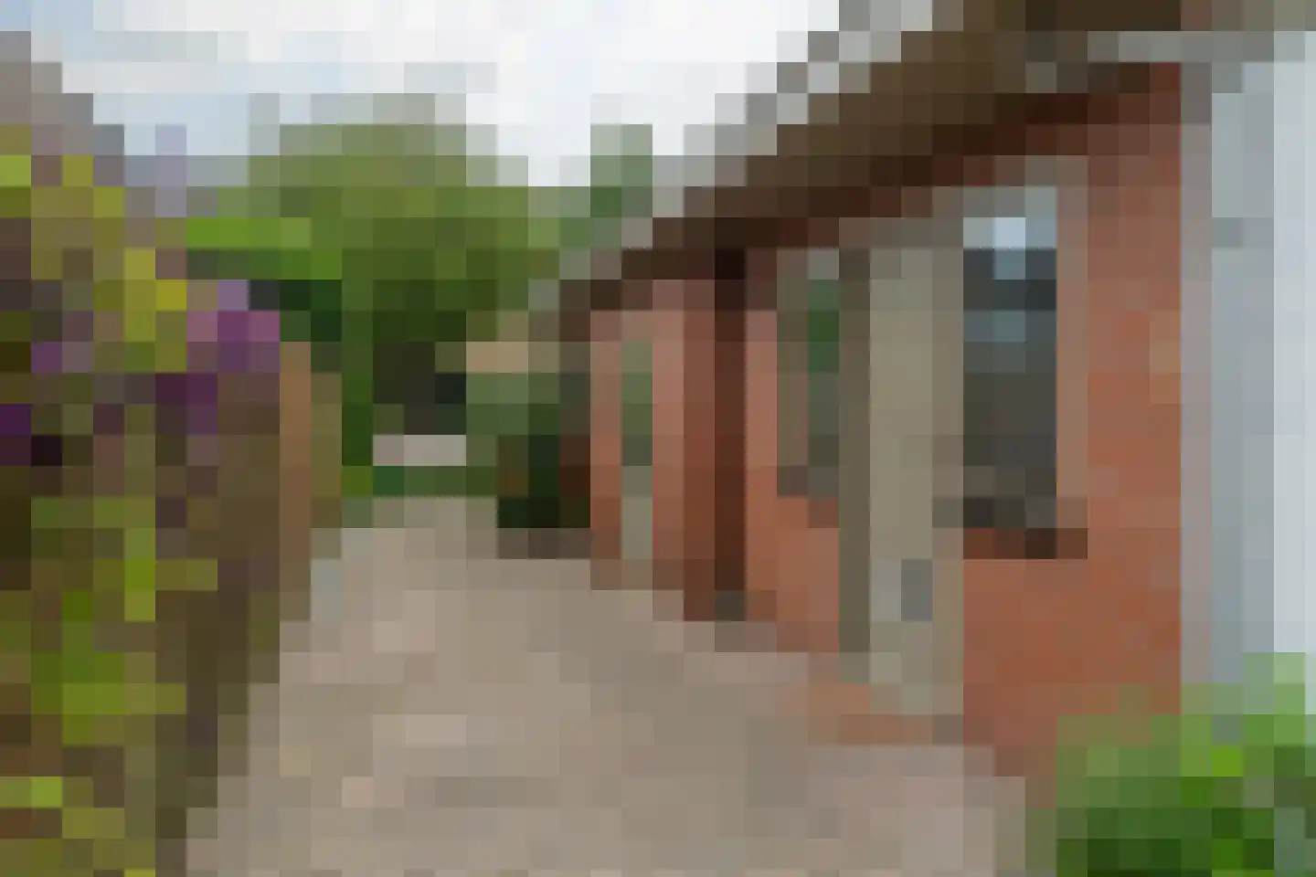 Dirck Raphaëlsz Camphuysenstraat 37 Dokkum thumbnail 39