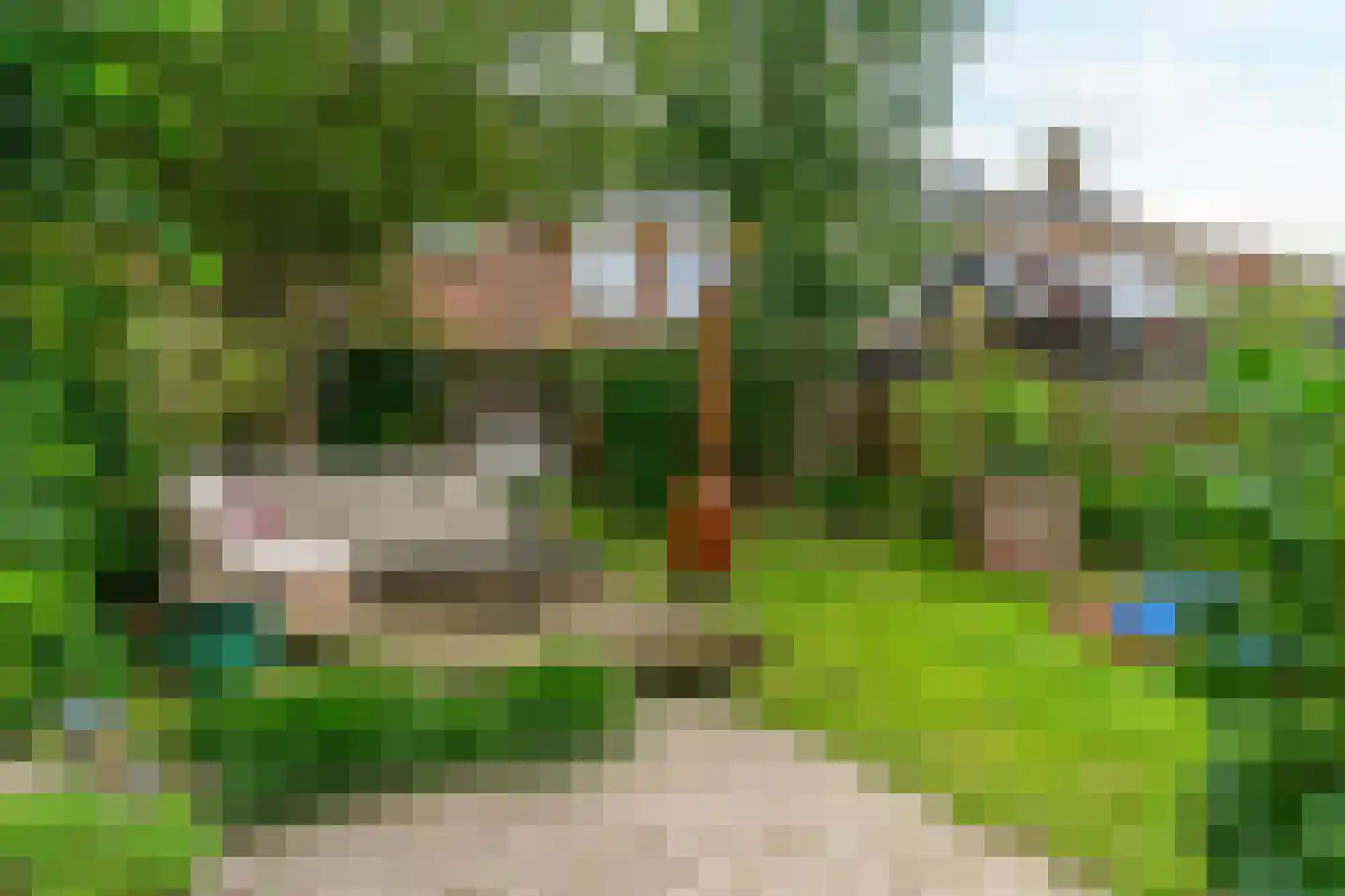 Dirck Raphaëlsz Camphuysenstraat 37 Dokkum thumbnail 4