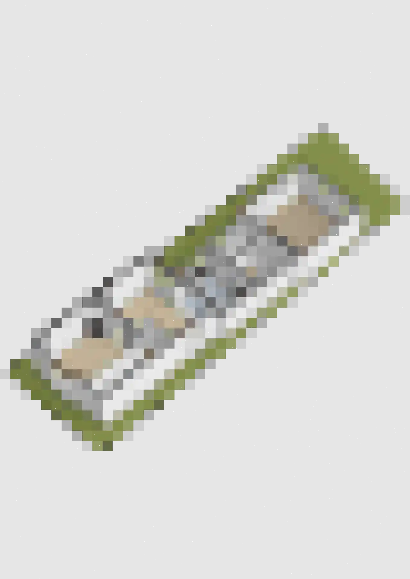 Dirck Raphaëlsz Camphuysenstraat 37 Dokkum thumbnail 52