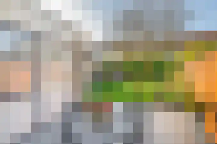 Dirck van Delenlaan 8 Lopik thumbnail 19
