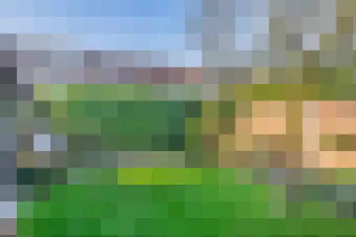Dirck van Delenlaan 8 Lopik thumbnail 21