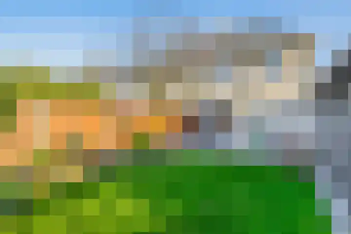 Dirck van Delenlaan 8 Lopik thumbnail 25