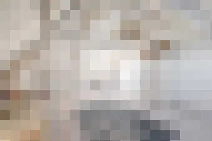 Dirck van Delenlaan 8 Lopik thumbnail 34