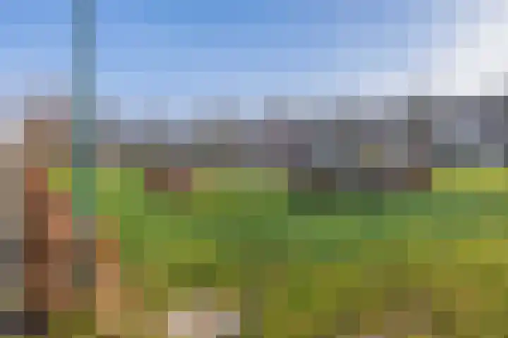 Dirck van Delenlaan 8 Lopik thumbnail 35