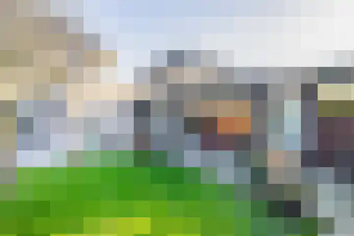 Dirck van Delenlaan 8 Lopik thumbnail 4