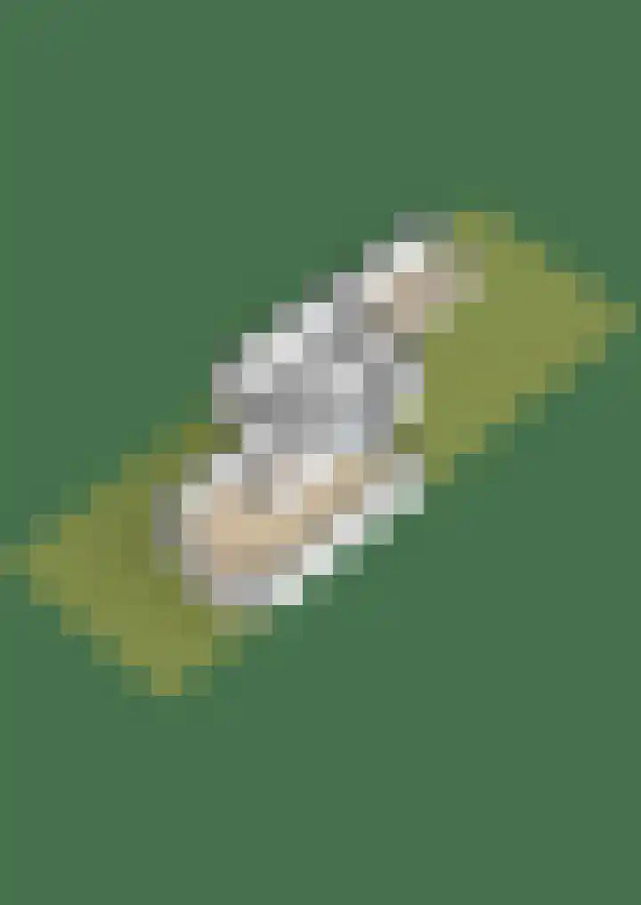 Dirck van Delenlaan 8 Lopik thumbnail 40